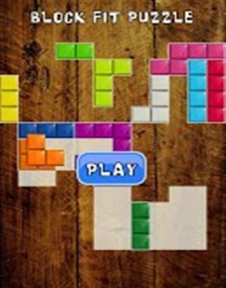 Block Fit Puzzle截图4