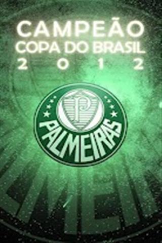 Palmeiras Copa do Brasil 2012截图1