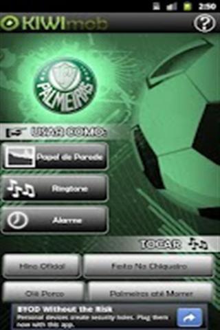 Palmeiras Copa do Brasil 2012截图2