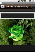 Beautiful Roses Wallpapers 截图2