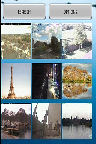 Webcams Widget Demo截图2