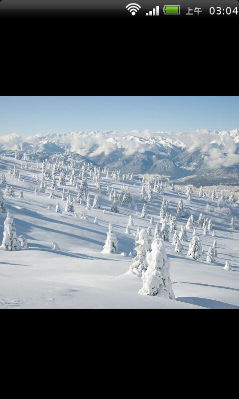 唯美雪景图集截图1