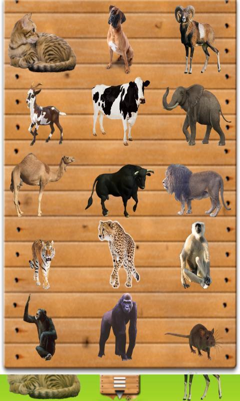 My First Grade Animals Charts截图3