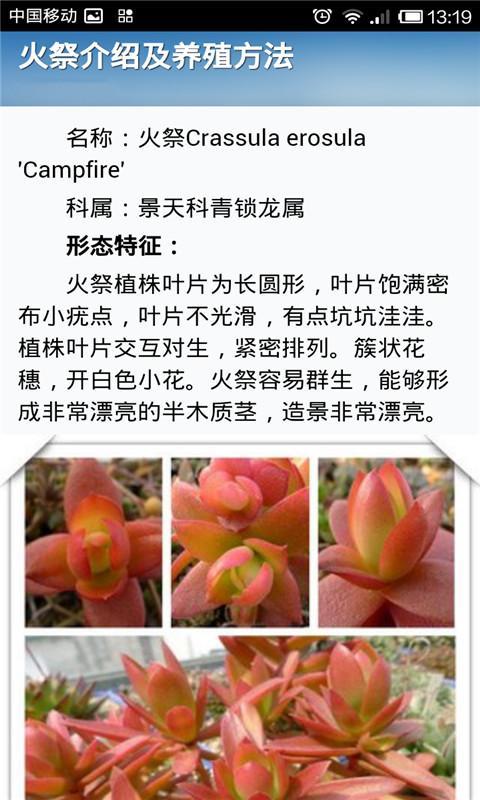 多肉植物养成记截图9