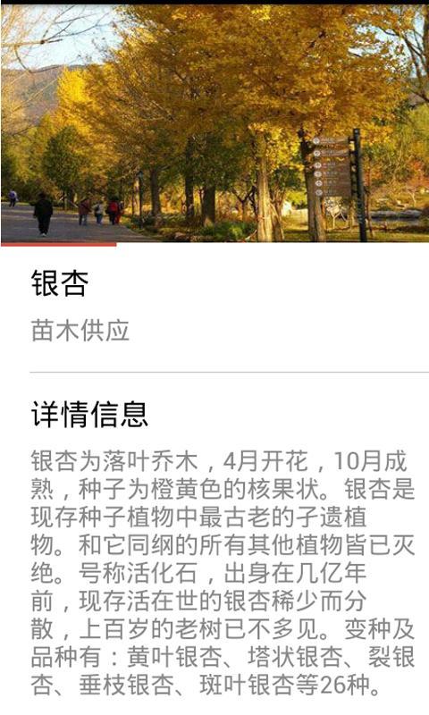 苗木供应截图10