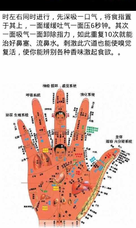 人体穴位按摩图(高清版)截图4