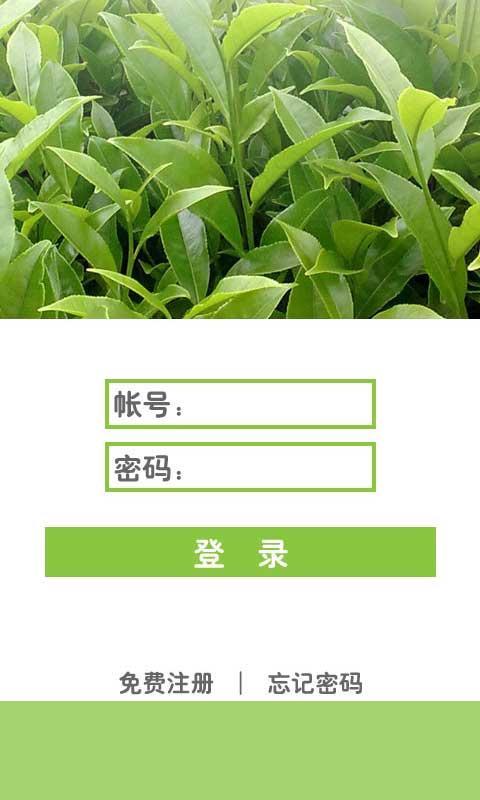 凤凰名茶截图2