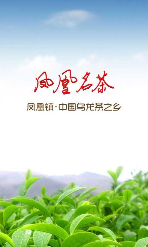 凤凰名茶截图1