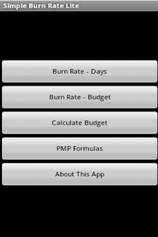 Burn Rate Calculator Lite截图1