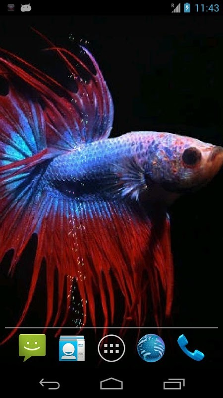 Betta Free截图5