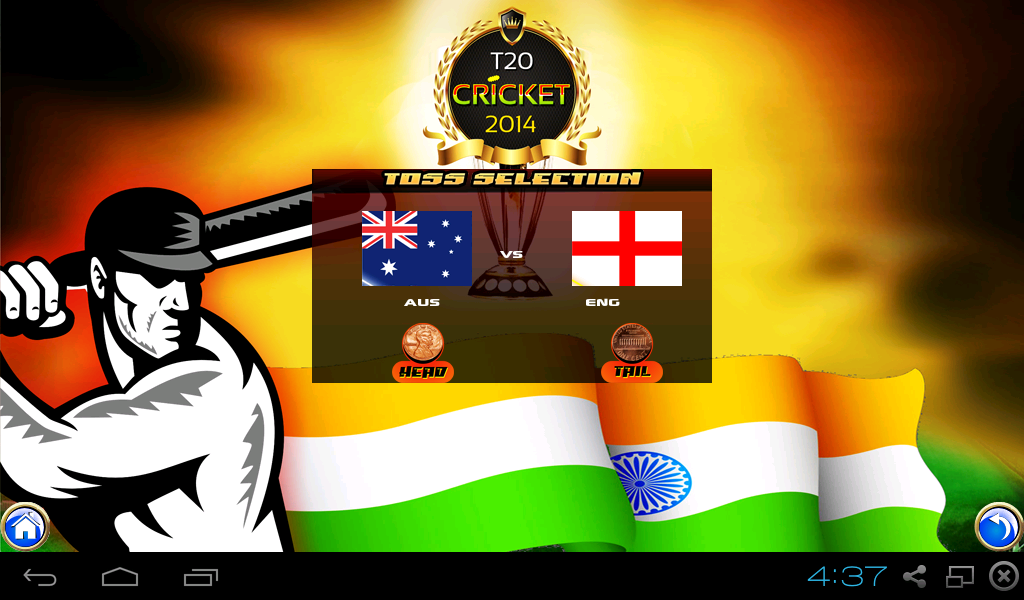 World T20 Cricket 2014截图8