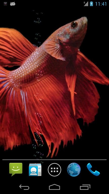 Betta Free截图4