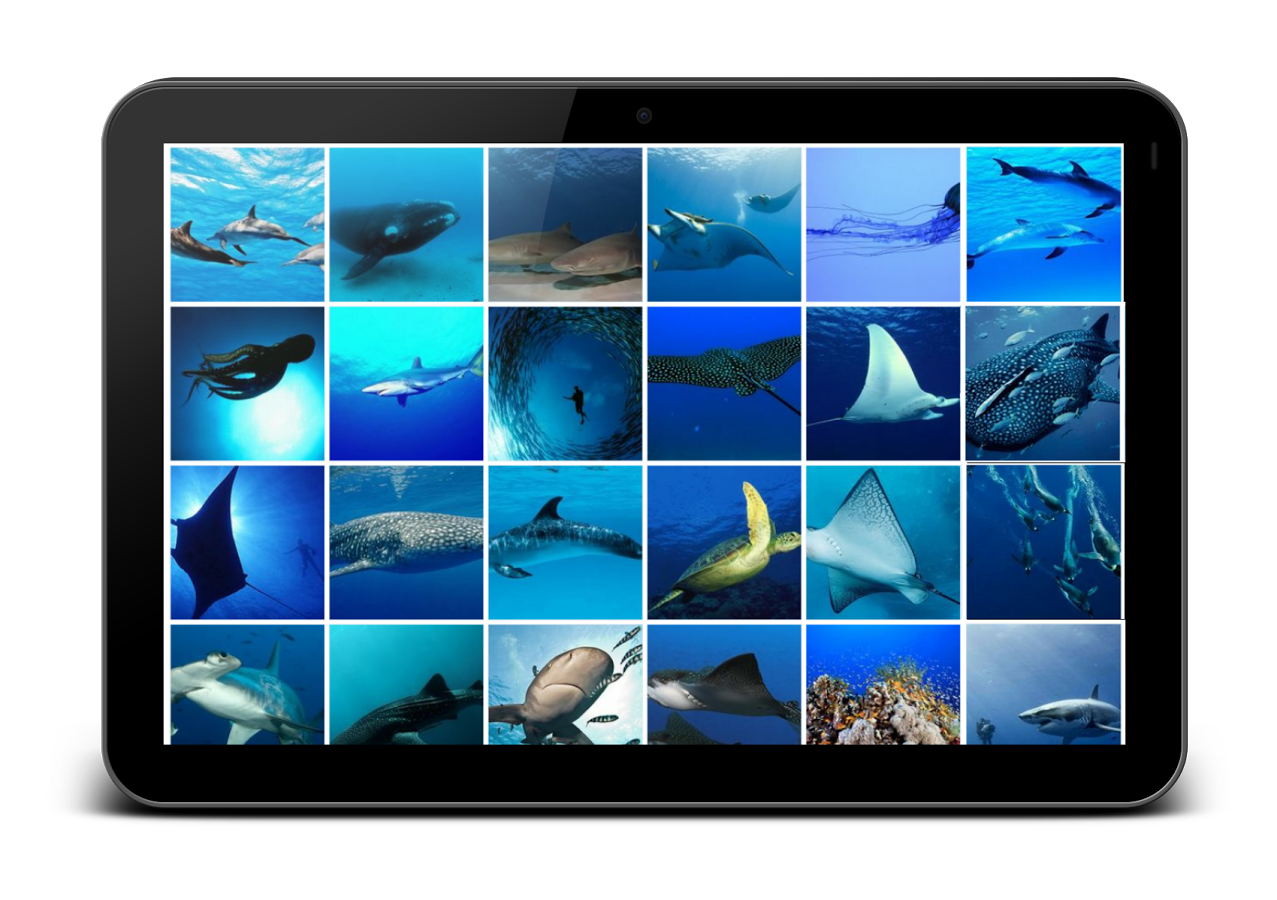 Ocean HD Wallpaper FREE截图1