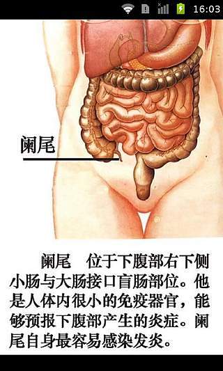 人体地图器官病理分析截图5