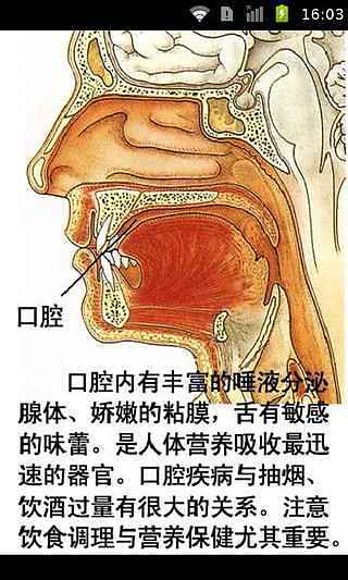 人体地图器官病理分析截图3