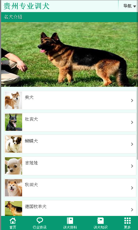 贵州专业训犬截图3