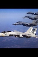 Great planes : F14截图1