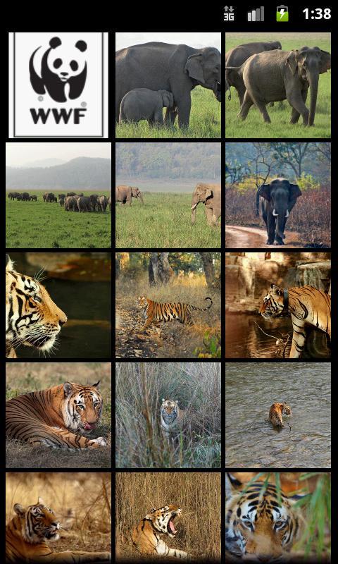 WWF-India Wallpapers plugin截图1