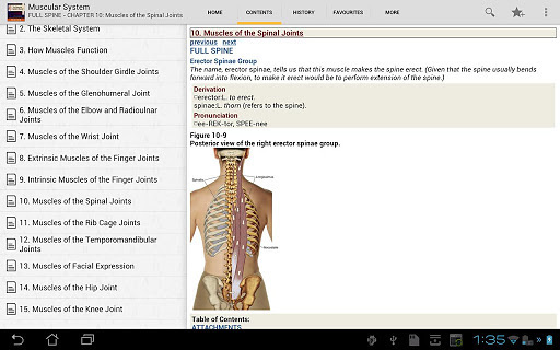 The Muscular System Manual截图2