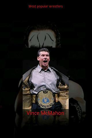 Wrestling Superstars截图2