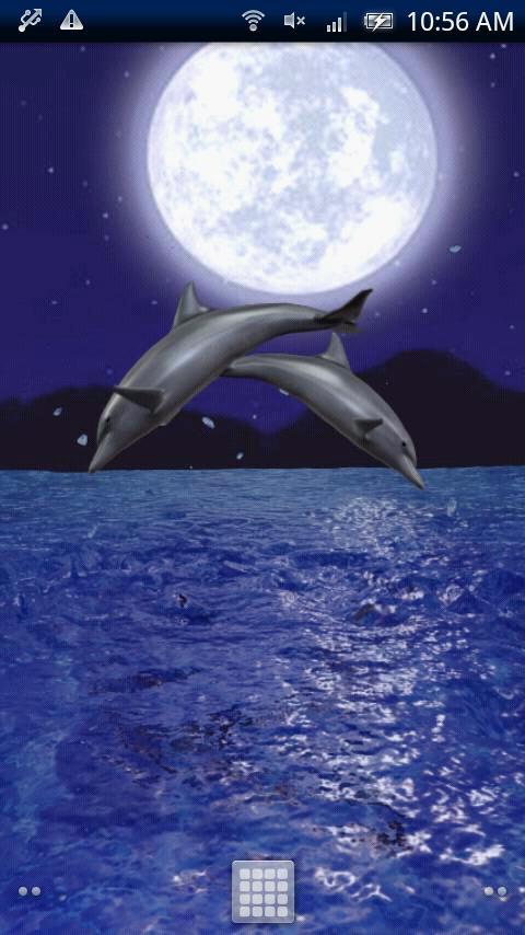 Dolphin Night Trial截图1