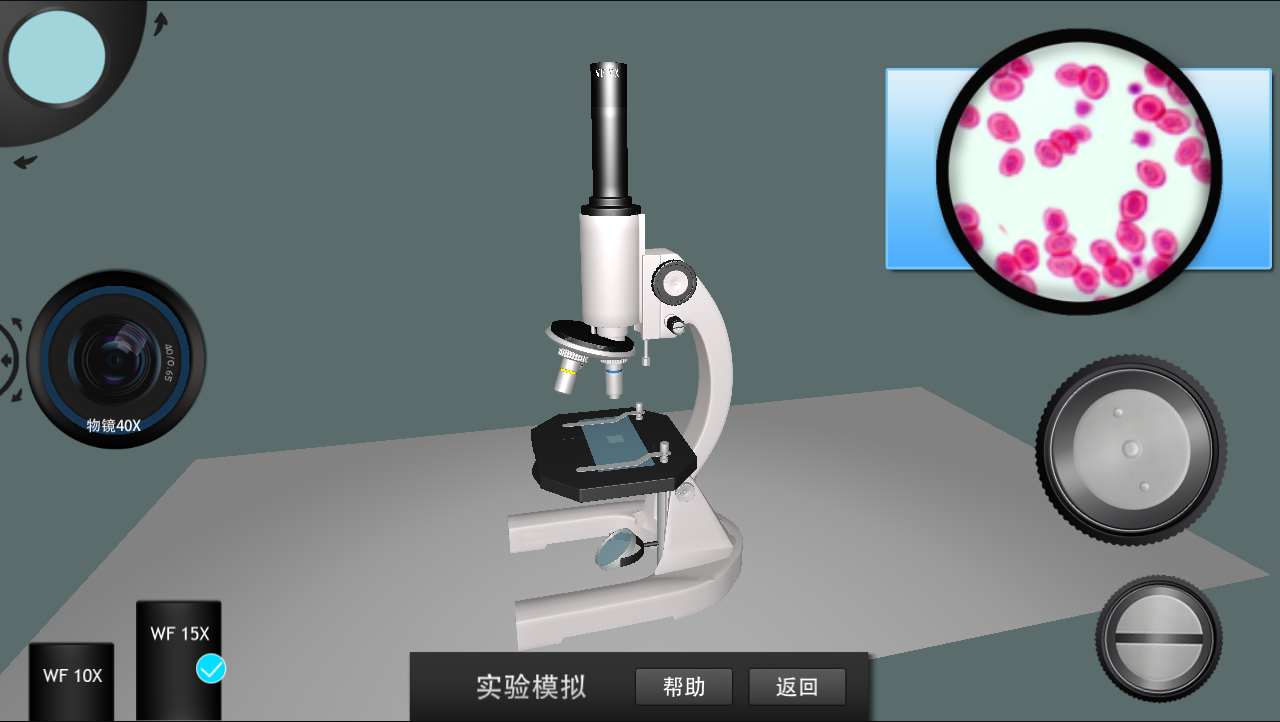 初中虚拟实验截图4