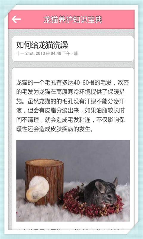 龙猫养护知识宝典截图3