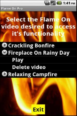 Fireplace and Campfires FREE截图1