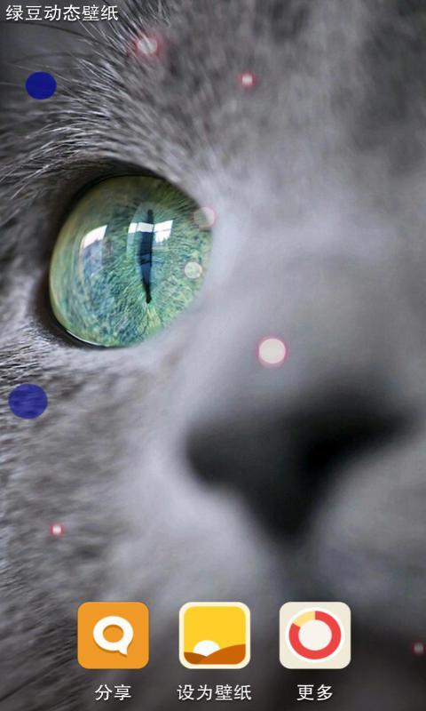猫眼人生-绿豆动态壁纸截图4