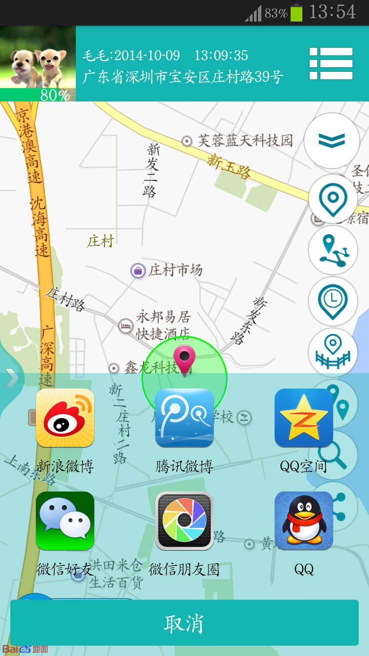 迪比宠爱截图2