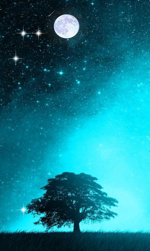 唯美夜空-绿豆动态壁纸截图1