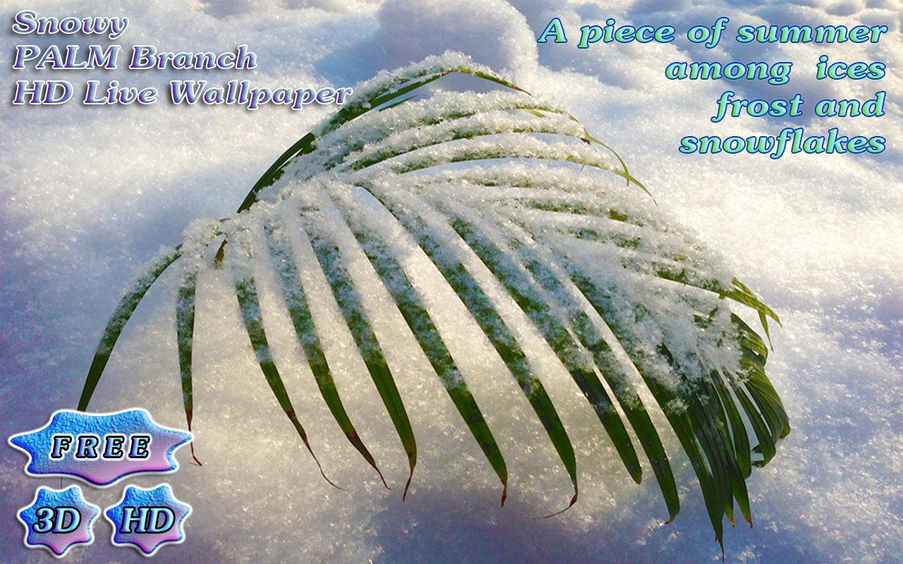 3D Tender Snowy Palm Free截图1