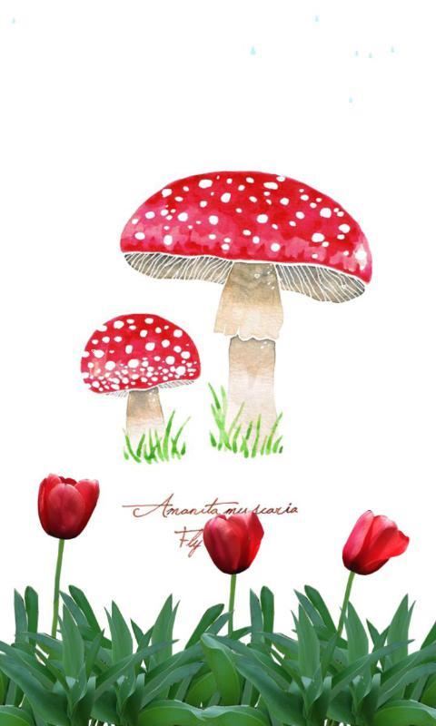笑蘑菇-绿豆动态壁纸截图1