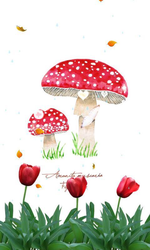 笑蘑菇-绿豆动态壁纸截图3
