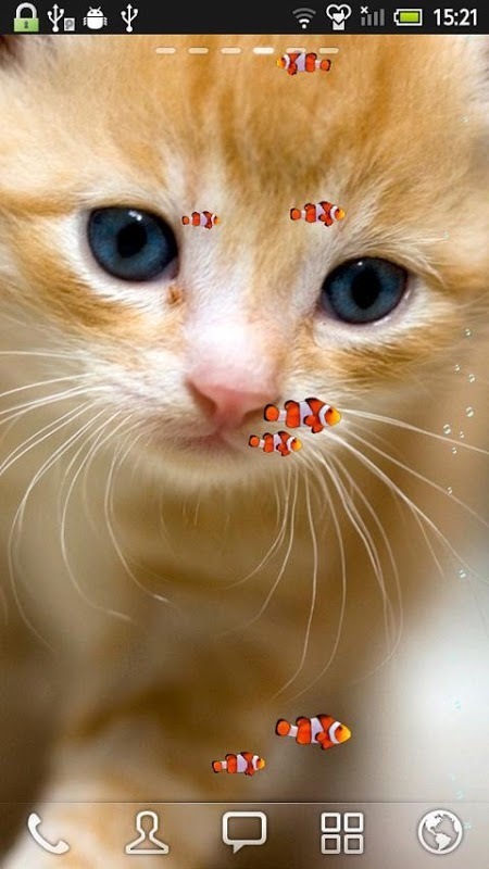 FISH&CAT LIVE WALL PAPER (1)截图1