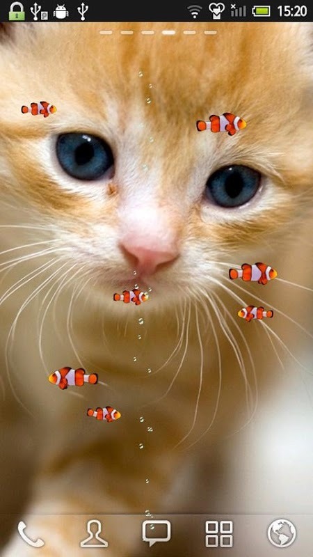 FISH&CAT LIVE WALL PAPER (1)截图2