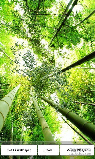 Bamboo Falling截图2