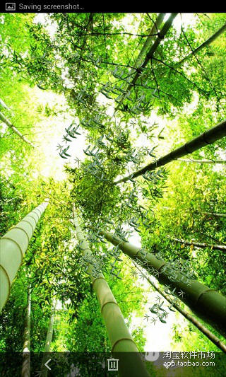 Bamboo Falling截图4