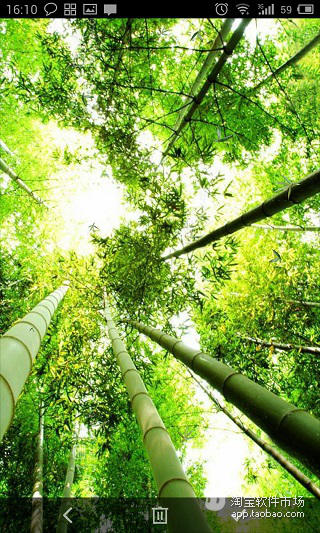 Bamboo Falling截图3