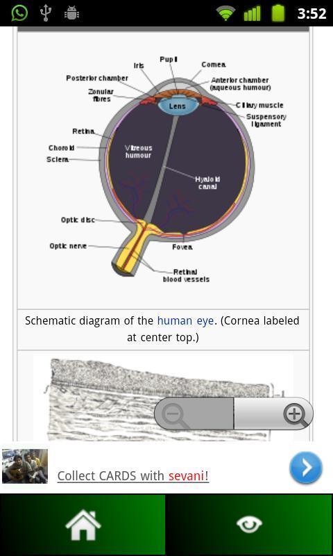 Anatomy Guide截图4