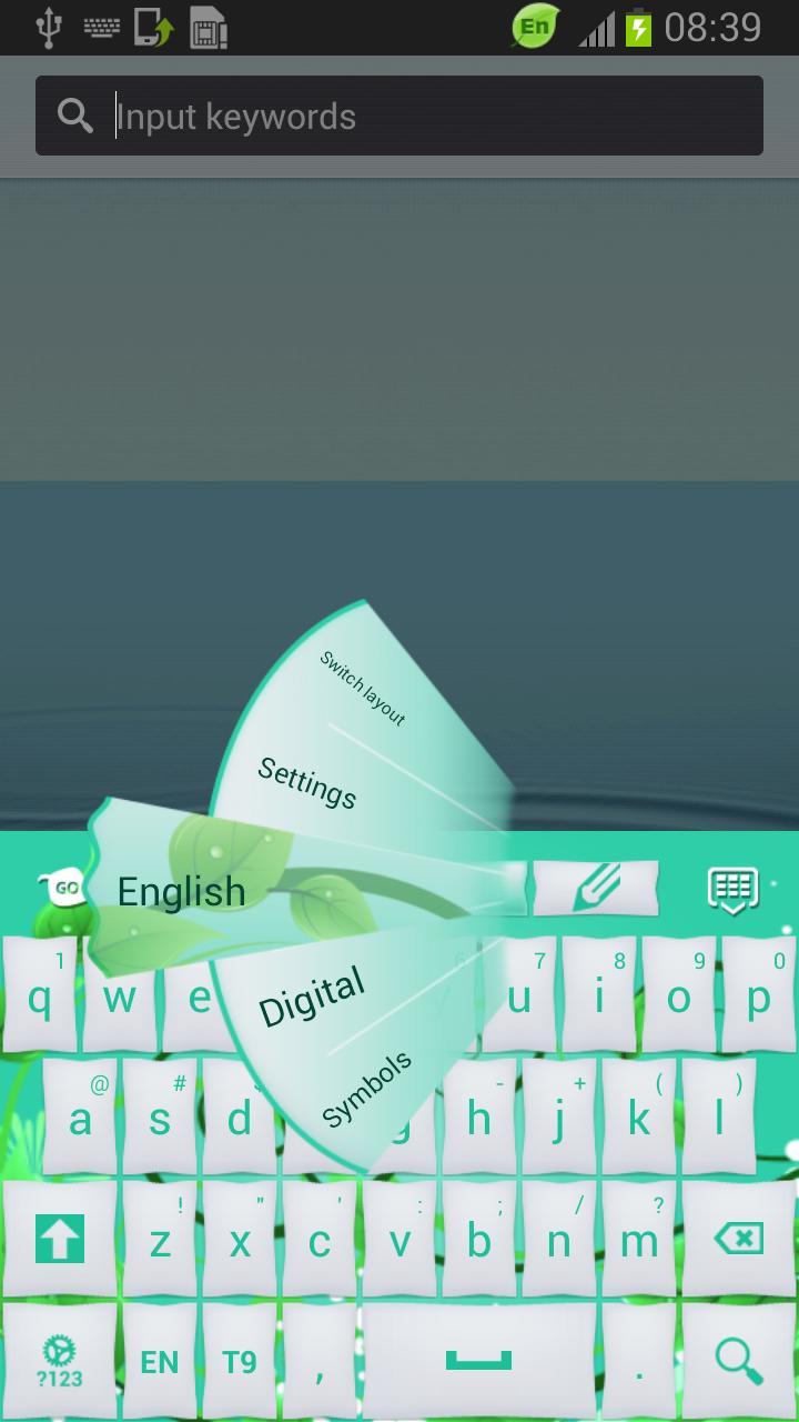 Keyboard Mint截图3