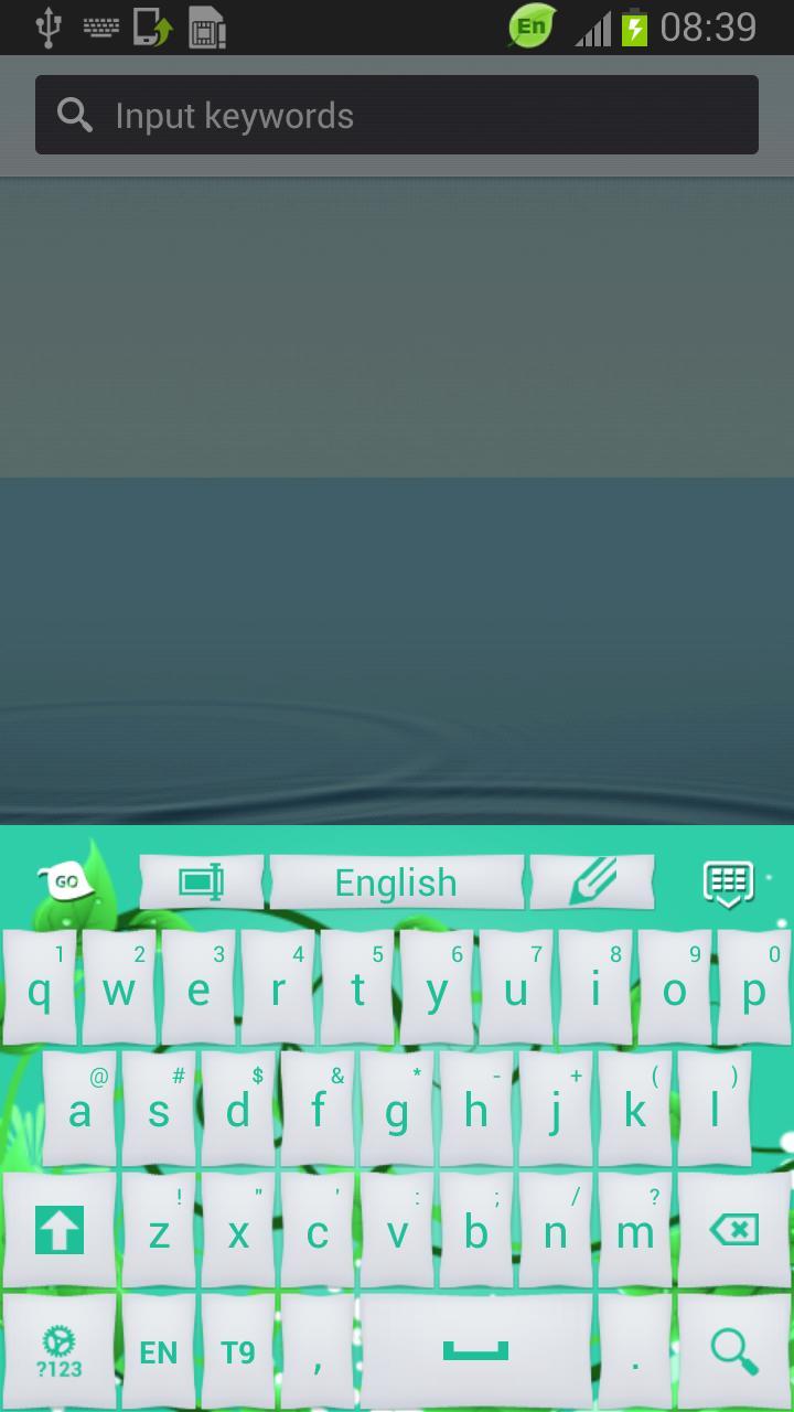 Keyboard Mint截图2