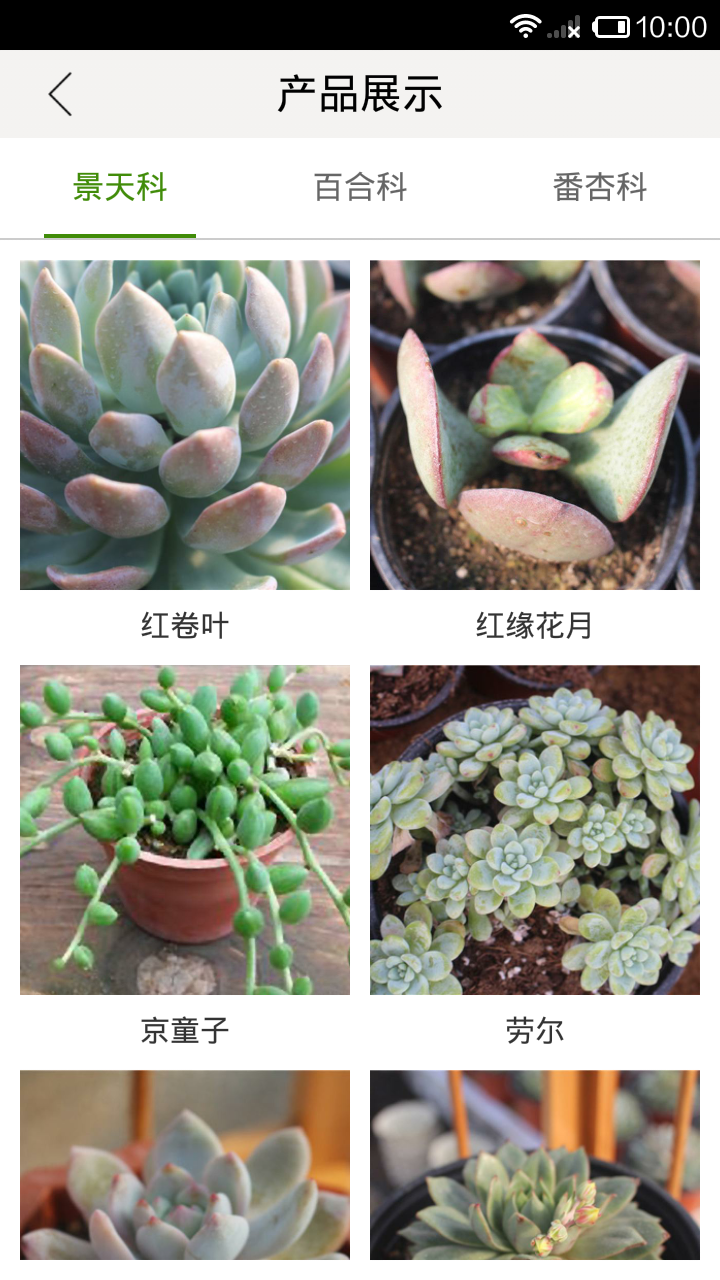 山盛花卉截图3