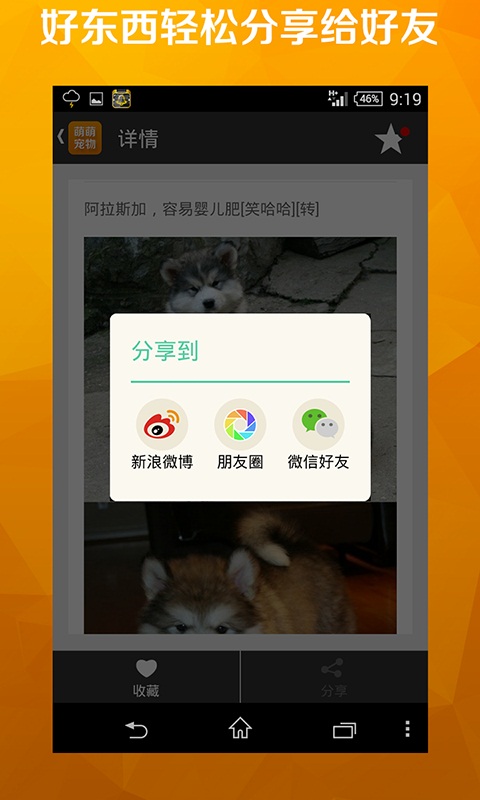 萌萌宠物截图4
