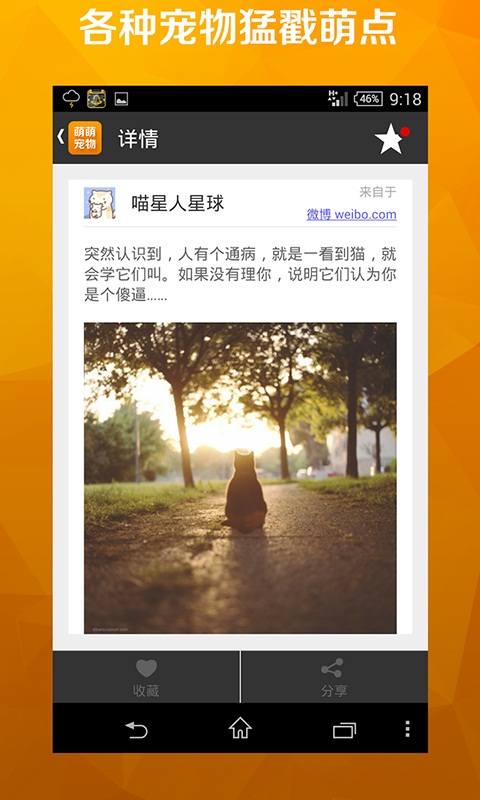 萌萌宠物截图2