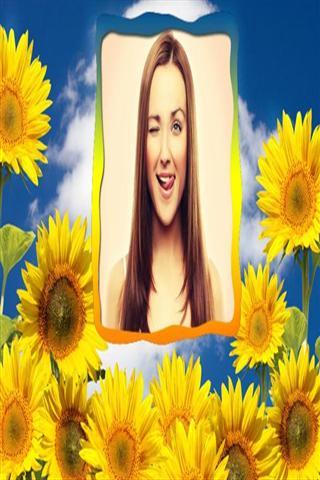 花帧截图5