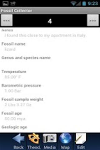 Fossil Collector截图4