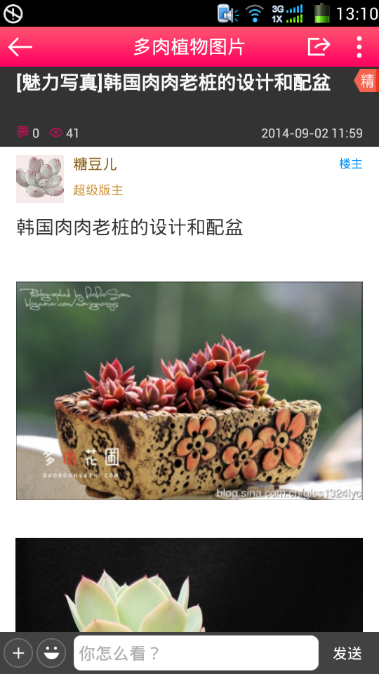 多肉花圃截图3