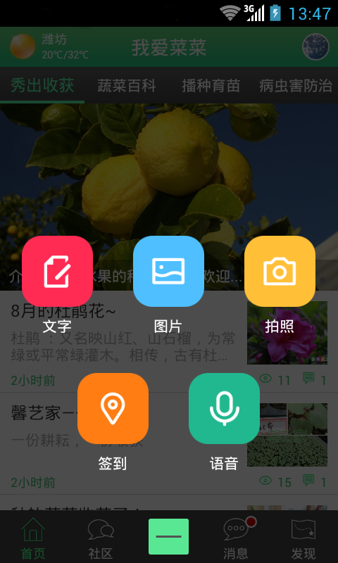 我爱菜菜截图2