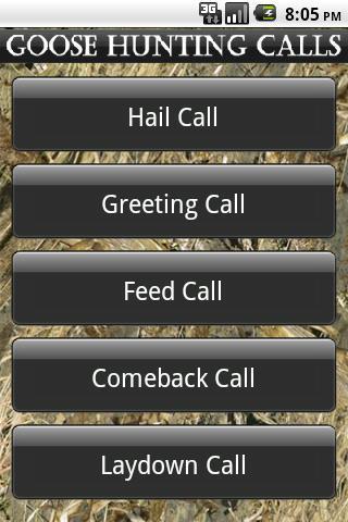Goose Hunting Calls截图1
